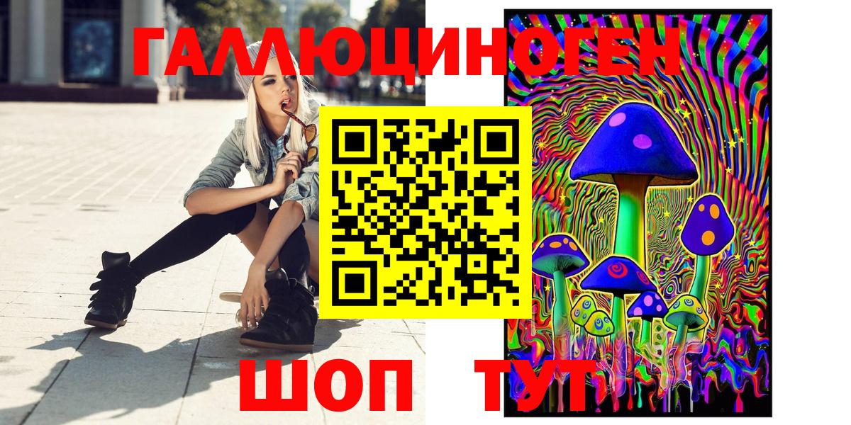 Сосновоборск  Псилоцибиновые грибы мицелий  Вход с VPN 