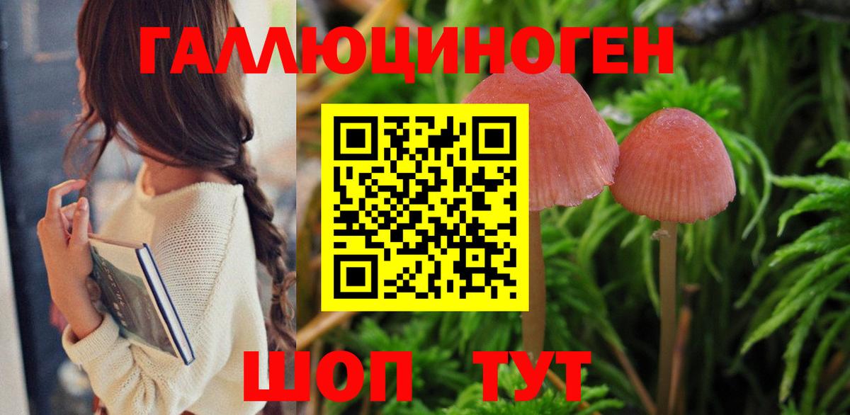 Галлюциногенные грибы Psilocybe  Сосновоборск  магазин продажи наркотиков  Галлюциногенные грибы прущие грибы 