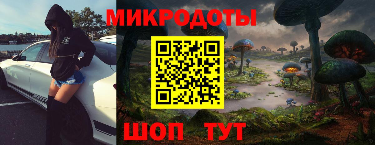 Псилоцибиновые грибы Cubensis Сосновоборск
